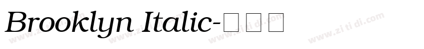 Brooklyn Italic字体转换